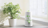  加湿器关注变化季节性明显
