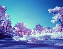 ˾Чܻӭ