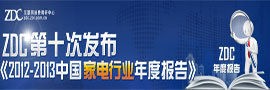 2012-2013中国家电行业年度报告